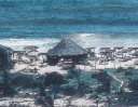 Restaurante Barraca do Jonas - Praia dos Coqueiros - Trancoso BA